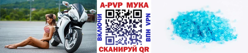 закладка Чайковский APVP СК КРИС