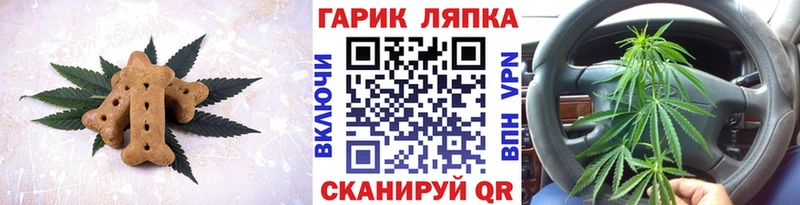 Cannafood конопля  Чайковский 