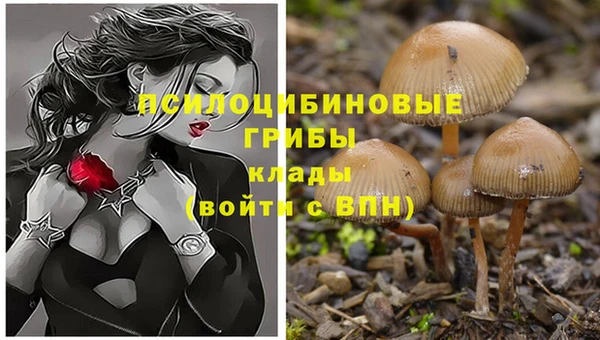 герыч Аркадак