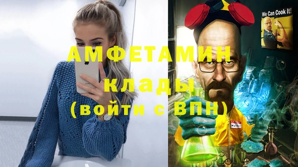 гидра Арсеньев