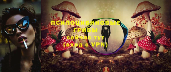 гидра Арсеньев