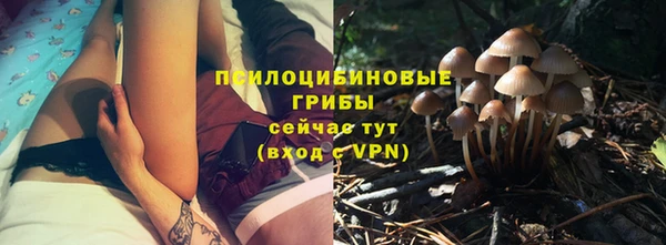 гидра Арсеньев