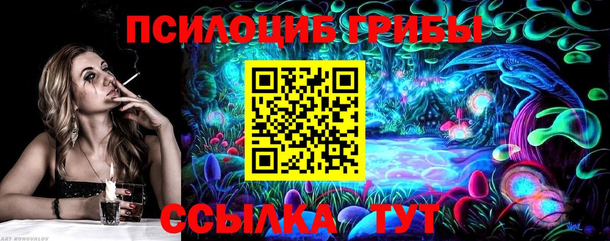 Чайковский  Галлюциногенные грибы Psilocybine cubensis  Вход с VPN  Галлюциногенные грибы Cubensis 