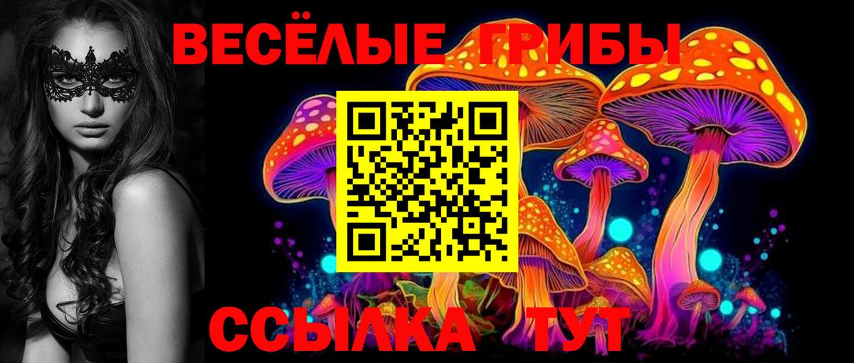 Галлюциногенные грибы MAGIC MUSHROOMS Чайковский