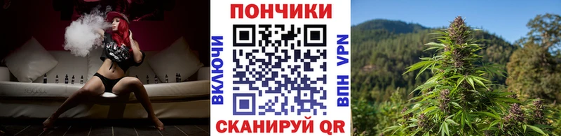 МАРИХУАНА SATIVA & INDICA  где найти   Чайковский 